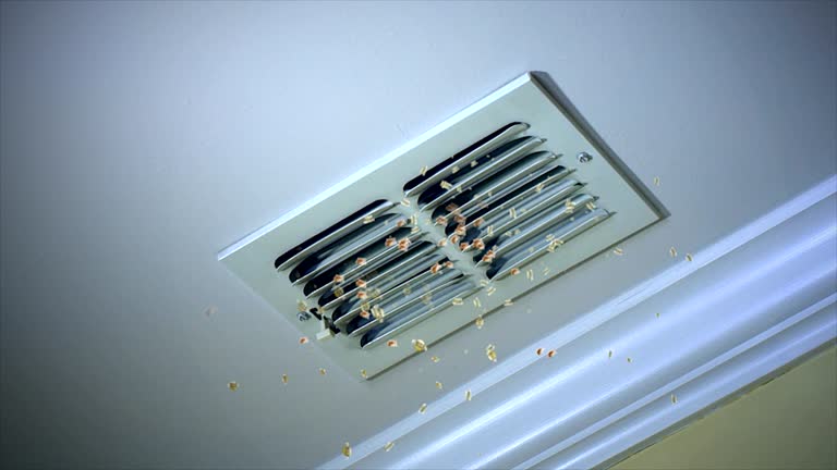 Best HVAC Air Duct Cleaning  in Madison, SD